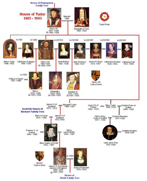 tudor royal family tree